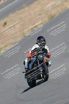 media/Nov-12-2023-Classic Track Days (Sun) [[11f17acb81]]/Group 3/session 2 turn 9/